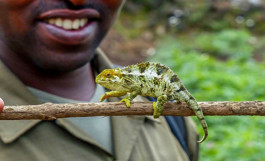 Reserve Douala-Edea